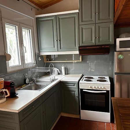 Antonis'S Garden House Apartment เอเธนส์ ภายนอก รูปภาพ